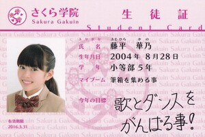 さくら学院　藤平華乃　2015年度　2016年度　2017年度　2018年度　2019年度　セット　生徒証