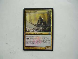 バイン　MTG 腐敗農場の骸骨/Rot Farm Skeleton foil 日本語1枚