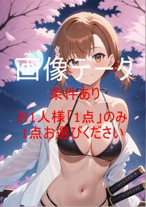 MMWR019 御坂 美琴(みかさ みこと)とある魔術の禁書目録 画像データ お一人様一点のみ(1円シリーズ全体で一点のみ) 