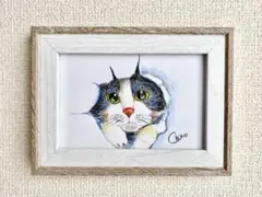 猫　色鉛筆画　額縁付き　卓上・壁掛け【送料無料】