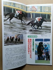 競馬 JRA レープロ990214東京 共同通信杯 Hエルコンドルパサー メジロブライト ナリタブライアン Uビワハヤヒデ/サイレンススズカ（列伝）