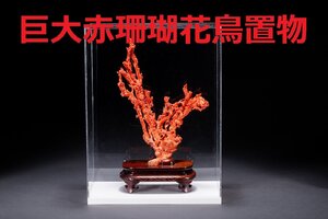 【善古堂】某有名オークション買入 時代物 巨大本赤珍材 花鳥紋置物380g ケース付き 材質保証 本物保証 希少 骨董品 古美術1225-5S64