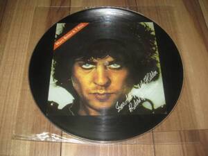 T.REX T.レックス 朝焼けの仮面ライダー 英ピクチャーLP