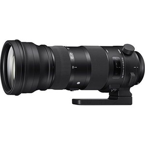 中古 １年保証 美品 SIGMA Sports 150-600mm F5-6.3 DG OS HSM キヤノン