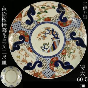 【LIG】古伊万里 色絵 桜幔幕花鳥文大皿 特大60.5㎝ 二尺皿 絵皿 古美術品 [.Y]24.9