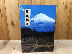 静岡県歴史の道　身延街道【改訂版】　CIA1660