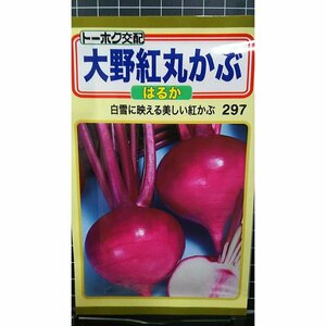 ３袋セット 大野 紅 丸かぶ はるか 種 郵便は送料無料 紅カブ