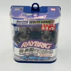 RAYBRIG レーシングハーパーハロゲン RA43 4900K