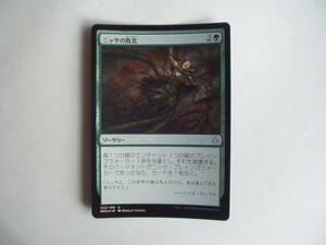 バイン　MTG ニッサの敗北/Nissa