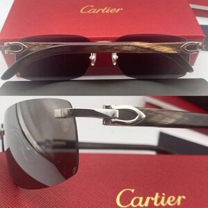 CARTIER genuine horn buffalo horn スクエア　シルバー　サングラス　カルティエ　眼鏡