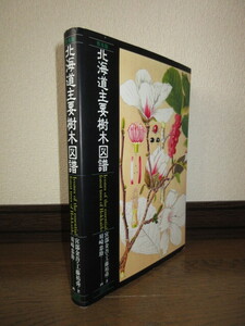 普及版　北海道主要樹木図譜　宮部金吾 工藤祐舜　須藤忠助　北海道大学図書刊行会　使用感なく状態良好　カバーに擦れ・キズあり