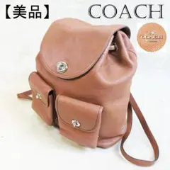 ✨美品✨COACH リュック デイパック レザー ブラウン シルバー金具