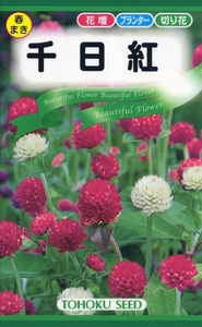 千日紅 混合 色ミックス 種子 花のたね 切り花向け 家庭園芸