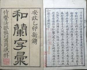 土州学館旧蔵 和蘭字彙 全12分冊 安政2刊 一部虫損 裏打ち 題箋不揃 蔵印