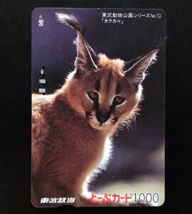 使用済 東武鉄道 とーぶカード 東武動物公園シリーズ№10 空かる 電車カード 使用済み コレクション 昔 レア