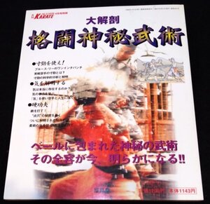 大解剖！格闘神秘武術　月刊フルコンタクトKARATE別冊★寸勁 硬功夫 沖縄古伝空手 寸打ち 形意拳 点穴 ブルース・リー　松井章圭