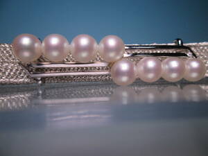 【江月】MIKIMOTO SILVER アコヤ真珠珠 5,5mm の帯留め 共ケース付 正規品