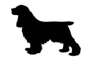 ステッカー　English Cockar Spaniel Type A