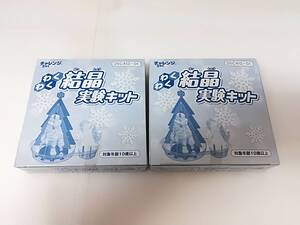 ■未使用 ベネッセ 進研ゼミ 小学講座 チャレンジ5年生 2012年付録 わくわく結晶実験キット 2個セット 未開封 ツリー