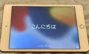 美品 iPad mini4 64GB Wi-Fi+Cellular ゴールド