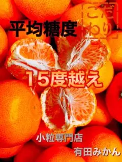 糖度15度越え　プレミアムみかんキング　旬味有田みかん　宮川早生 　3Kg