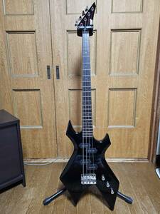 ESP 　カスタムオーダー　　ワーロック