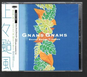 ■上々颱風■7thアルバム■「GNAHS GNAHS (グナース グナース)」■♪菜の花畑でつかまえて♪■品番:ESCB-1820■1997/6/21発売■帯■美品■