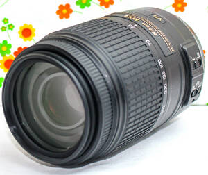 美品 超望遠レンズ！☆Nikon AF-S 55-300mm☆レンズフード付