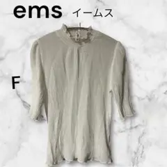 ems イームス シースルー シャツ 透け感 F