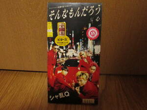 CD シャ乱Q そんなもんだろう (サントリービール ビターズ CMソング) c/w 心 (M-58) 懐メロ