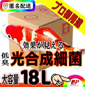 ガチ濃【プロ錦鯉飼育用】低臭/光合成細菌PSB１８L入★水質改善・浄化・超活性★純粋単独培養種菌（検索：業務用２０L）