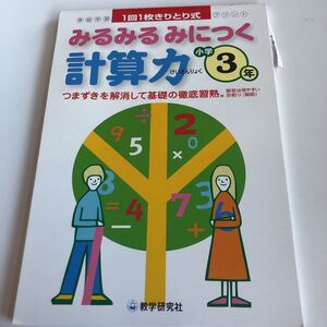 w366 みるみるみにつく 計算力 1回1枚 解答 3年生 小3 小学生 テスト 家庭学習用 復習用 小学校 ドリル 国語 算数 理科 社会 漢字 計算