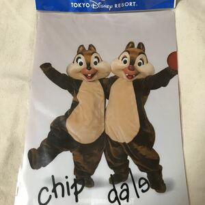 TDL チップ&デール　　クリアファイル　ディズニーランド　 Chip&Dale TDR