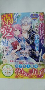 悪女の身代わりで嫁いだら、政敵王子から予想外の溺愛が始まりました（ベリーズファンタジースイート）水野沙彰