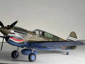 【atsudra工房完成品】1/32 P-40 WARHAWK 第23戦闘航空群 マホニー少佐機