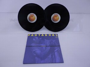 Panta & HAL「TKO Night Light」LP（12インチ）/Flying Dog(FLD-9001-2)/洋楽ロック