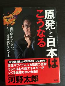 本　帯付　原発と日本はこうなる　河野太郎　講談社