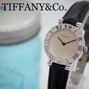 664 TIFFANY&Co. ティファニー 新品ベルト アトラス レディース