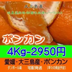 ２枚目畑・最終近し！食べ易く美味！大三島産ポンカン4Kg（太田）