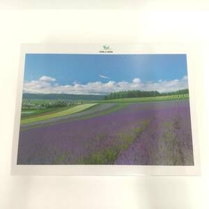 1012【未開封品】ジグソーパズル 1000ピース ラベンダーの丘 四季の詩(富良野)　風景 自然 花 田舎 VIEW of JAPAN やのまん 