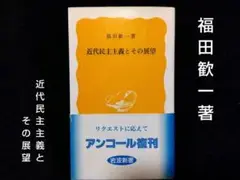 「近代民主主義とその展望」福田 歓一／岩波新書 2001 第26刷　✨美品✨