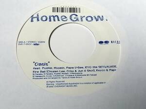 新品！ ジャパレゲ史上最大歴史的名曲 HOME GROWN 「OASIS」インスト収録 1stプレス PUSHIM MOOMIN RYO the SKYWALKER FIRE BALL Keyco 