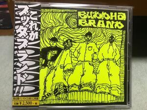 中古CD■HIPHOP/日本語■限定2枚組／BUDDHA BRAND／これがブッダブランド／2019年■DEV LARGE, CQ, NIPPS, ILLMATIC BUDDHA MC