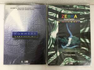 ●○G304 Windows 3.1/95 Macintosh NOWHERE 未来都市の考古学展より ZEBRA FANTASY 内藤忠行 2本セット○●