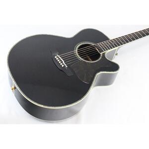 ＴＡＫＡＭＩＮＥ　　ＤＭＰ５００　ＣＵＳＴＯＭ　匠