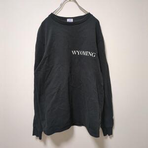 チャンピオン(M)WYOMING＊バックプリントロンT＊長袖＊ストリート＊黒