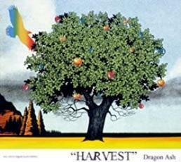 HARVEST 中古 CD