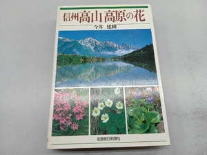 信州高山高原の花 今井建樹