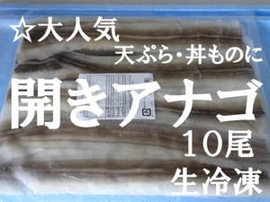 ☆天ぷら/丼ものなどに　骨切　開きアナゴ　　６０ｇ×１０尾　　生冷凍*