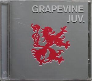 ★☆ GRAPEVINE / ジュブナイル ☆★